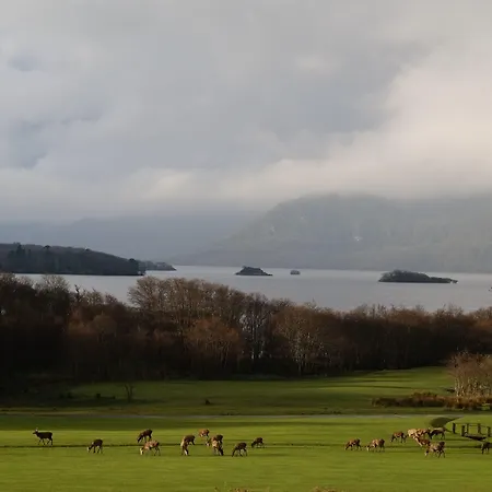 Castlerosse Park 度假居