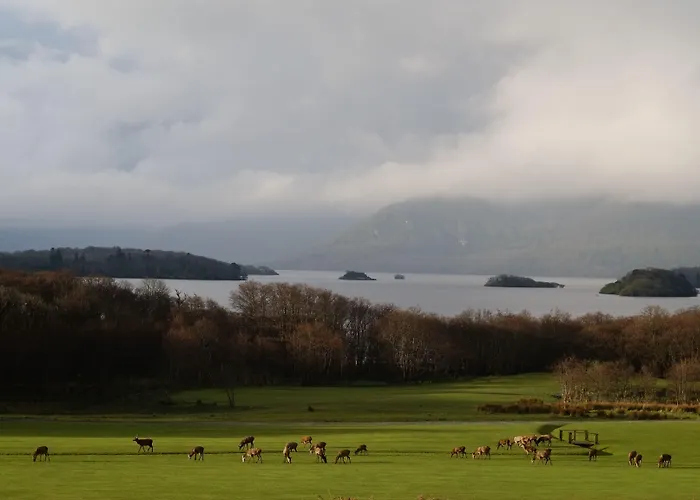 Castlerosse Park Hébergement de vacances